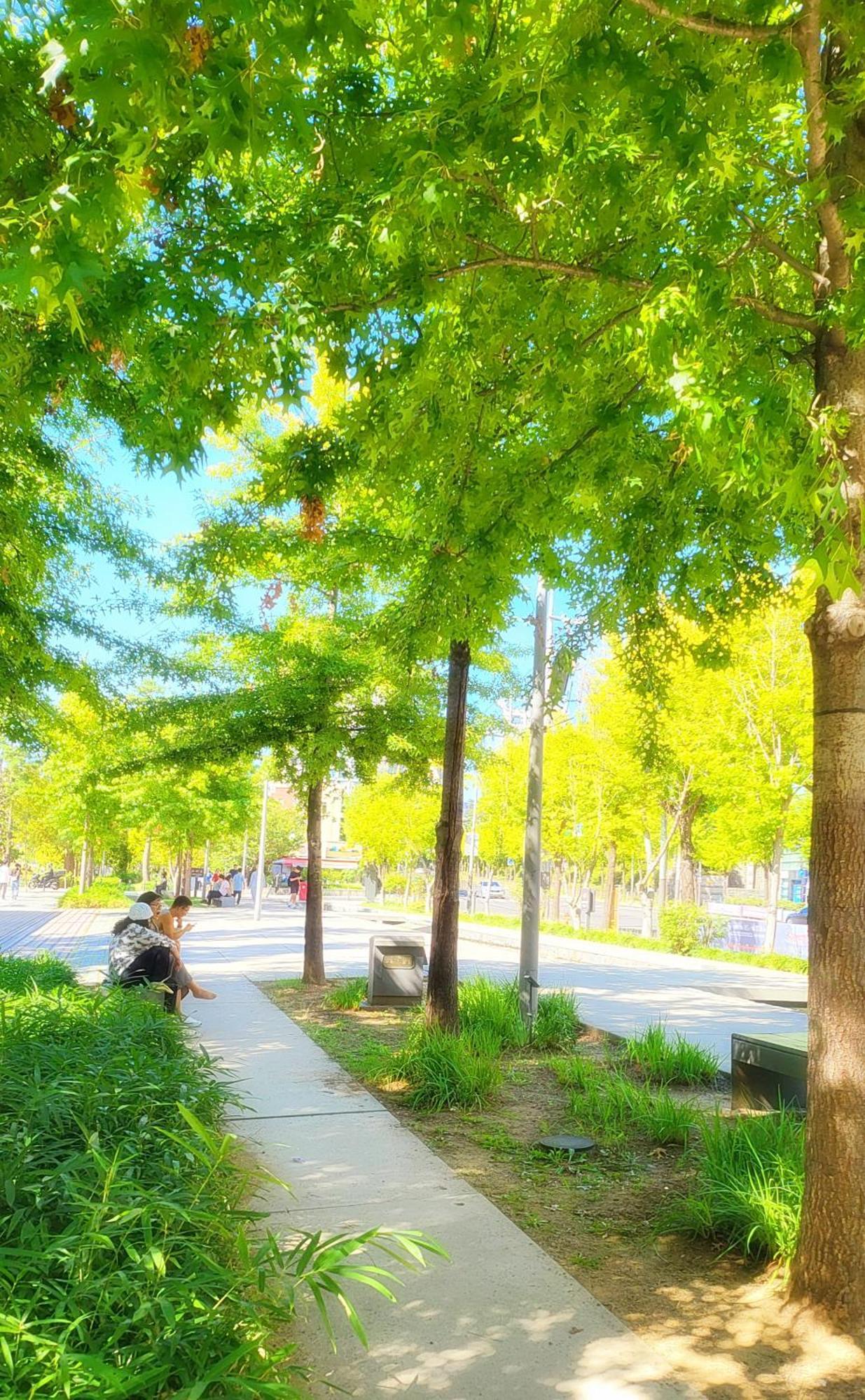 Park #hongdae Sinchon 10min #metro 3min #3beds อพาร์ทเม้น โซล
